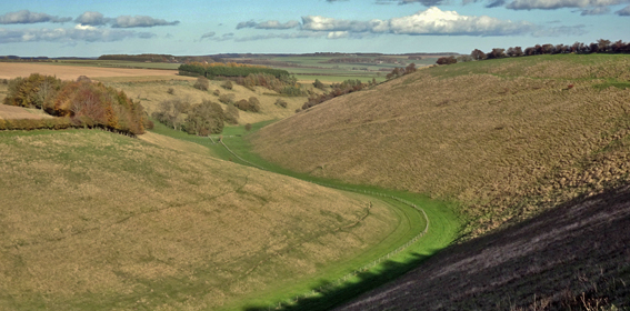View over Horse Dale, 11th Nov 2025/Photo � Arnold Underwood