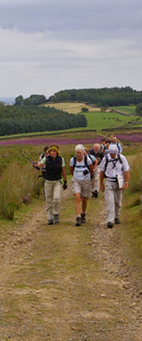 Crossing Arnagill Moor/from a photo by Arnold Underwood/23rd Aug 2009