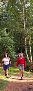 Striding through Clumber Park/from a photo by Arnold Underwood/14th Sept 2008