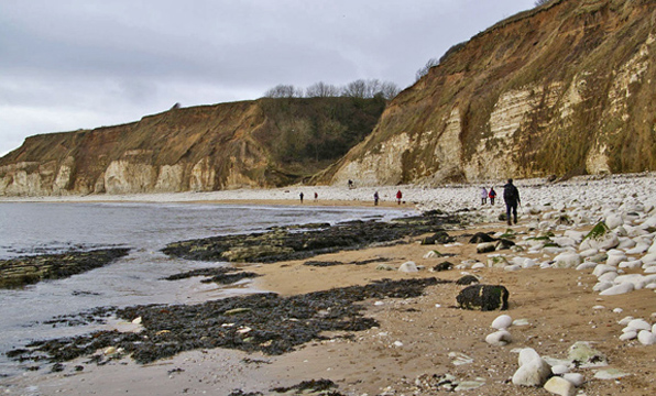 On the Heritage Coast near Dyke's End/Photo by Arnold Underwood/Feb 15th 2010