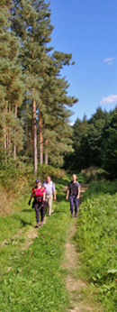 Heading down Howl Dale/from a photo by Arnold Underwood/20th Sept 2009