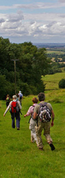 On the Lincolnshire Wolds near Normanby-le-Wold/from a photo by Arnold Underwood/17th Aug 2008