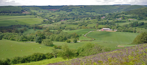 Looking down on Hawnby from Easterside Hill/photo by Arnold Underwood, June 2011