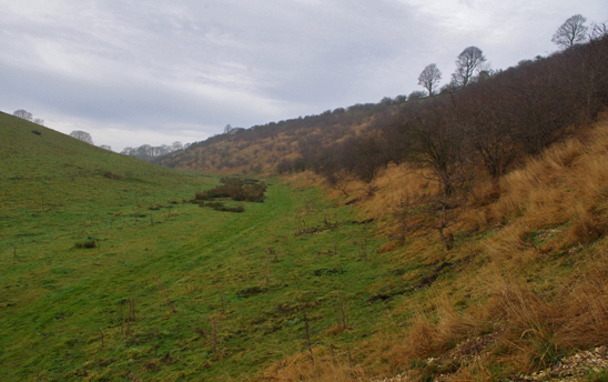 The view up Brownmoor Dale/photo by Arnold Underwood, Jan 2013