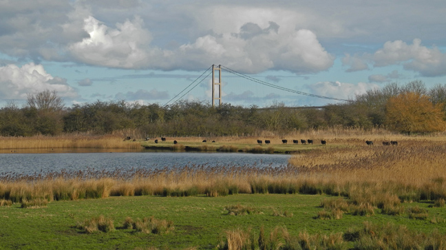 Far Ings Nature Reserve, Barton/Photo by Arnold Underwood/28th Feb 2016