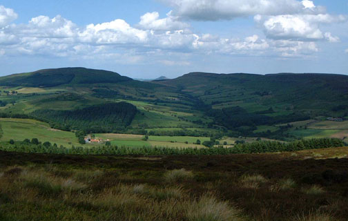 From Bilsdale West Moor, Roseberry Topping is visible between Hasty Bank and Urra Moor/photo by Arnold Underwood, July 2004