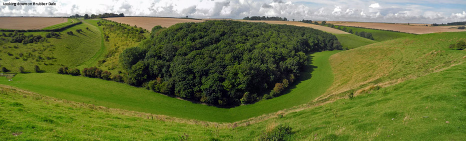 Panoramic view over Brubber Dale/Photo by Arnold Underwood/2017