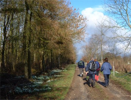 Members of Leven Walking Club head towards Houghton Hall/photo by Arnold Underwood/Feb 2004