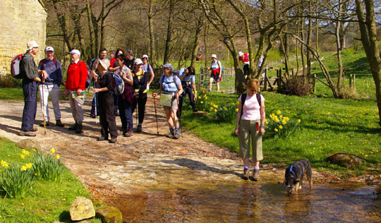 The ford at Lowdales, with Sweep who sadly passed away in 2009/from a photo by Arnold Underwood/April 2007