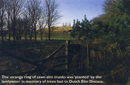 Trussey Hill, near Barmston/from a photo by Arnold Underwood/1997